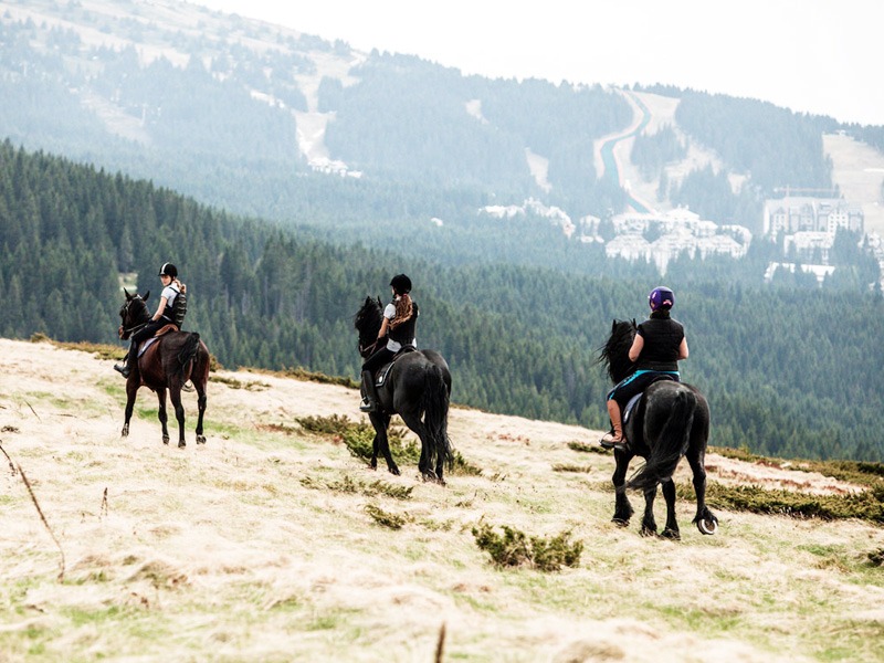 Jahanje konja na Kopaoniku, letnji sadržaj